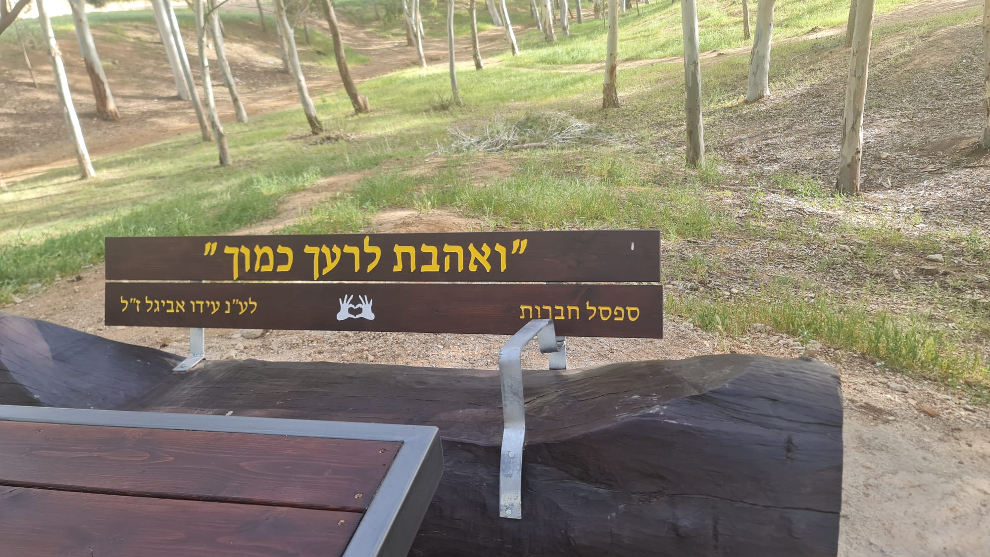 Mitzpe Dodka